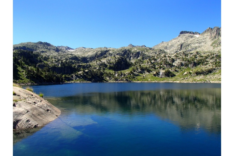 lac major colomers
